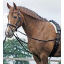 Busse standing draw-reins BASIC
