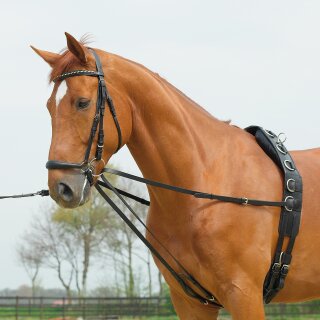 Busse walking reins Basic