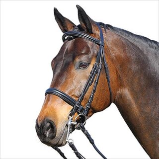 Euroriding curb euro club ER-05 - including leather reins