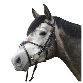 Euroriding Bridle Cambridge - mexican noseband