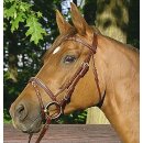 Euroriding bridle Ashford - british line