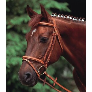 Euroriding bridle euro club ER-01 - flash noseband