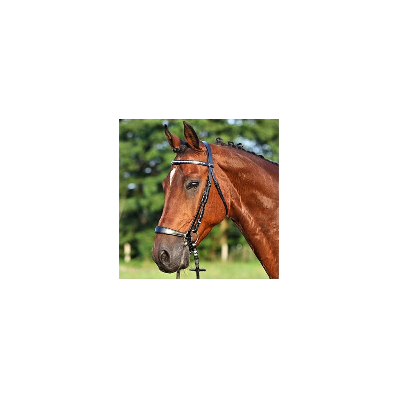 Euroriding Noseband hannoveranisch 