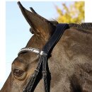 Euroriding bridle Rochelle - swedish noseband, without reins