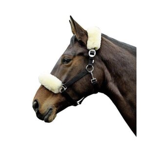 HKM nose and neck protectors