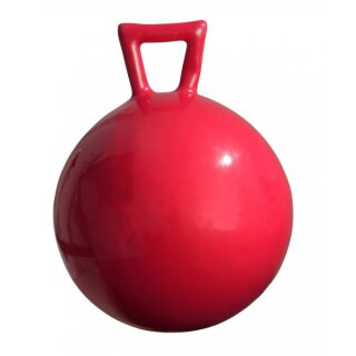 Whistle Toy Game Ball