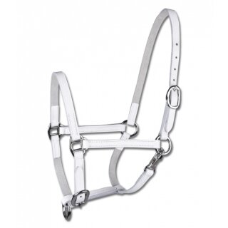 Waldhausen foal halter leather