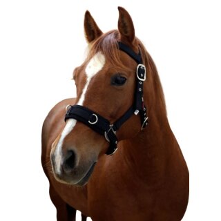 Covalliero Nylon lunge halter