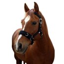 Covalliero Nylon lunge halter