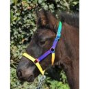 HKM Shetland Halter Multicolor