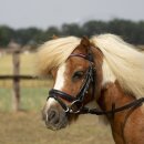 Busse Bridle Little