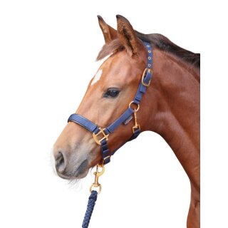 Covalliero Foal/Mini Halter Top Line