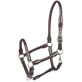 Pfiff Lederhalfter Redonda