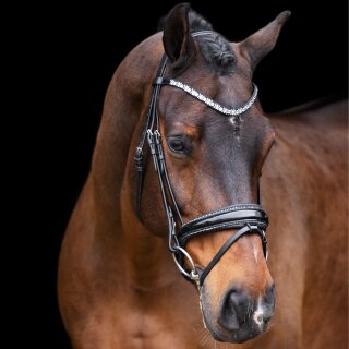 IR Bridle Olympia