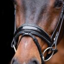 IR Bridle Olympia