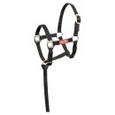 Biemann foal halter - with mini leash