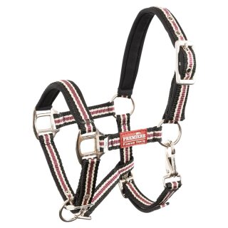 Biemann foal halter - Vivid