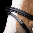 Shetty bridle IRHStormy