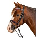 Waldhausen bridle Pinky