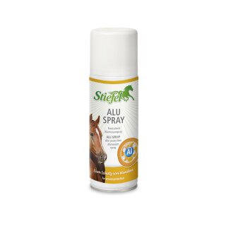 Stiefel Aluminum spray