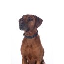 HKM Hundehalsband - Anam Cara-