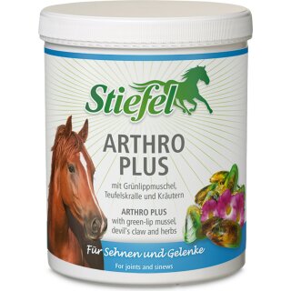Stiefel Worm Herb Juice 1L