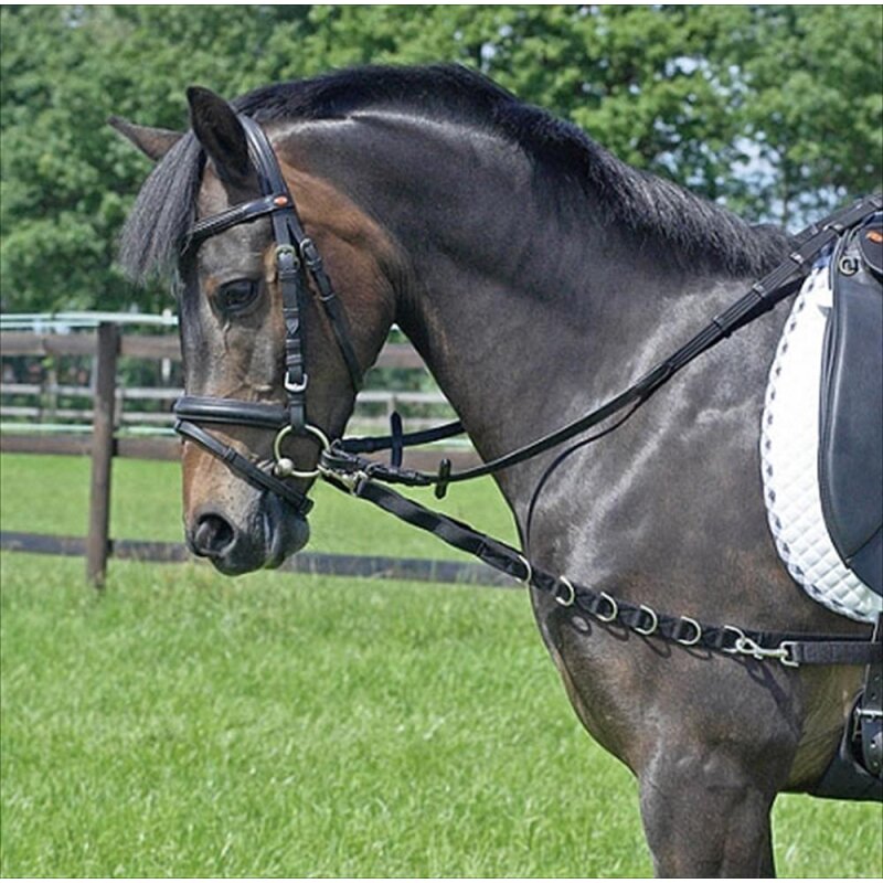 Busse Halfter-Set Sallow Strick Halfter Fliegenfransen 