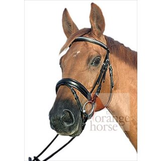 Euroriding bridle Dallas