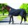 Horseware Rambo stable rug Ionic