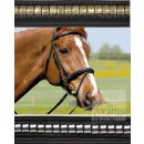 Kieffer bridle Comfort I