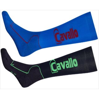 Cavallo knee stockings of extra