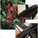 Euroriding bridle euro club ER-38 - with white stitching