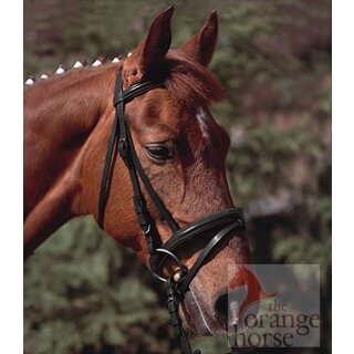 Euroriding bridle Garizelle - indian leather