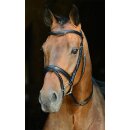 Schockemöhle bridle Basic SPORTS Glasgow