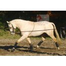 Busse lunging aid Cotton