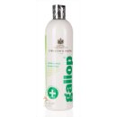 Carr Day Martin Medicated Shampoo Gallop - 500ml