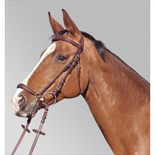 Euroriding bridle Seattle - hannv. noseband