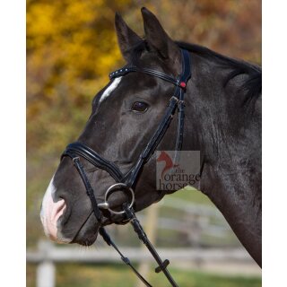 Kieffer bridle Melina - English with chin pads