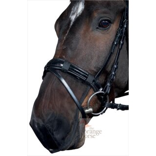 Scan-Horse HorseGuard insect net - for bridle, halter