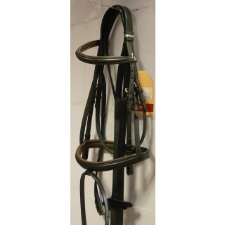 Cavallo Bridle Aachen